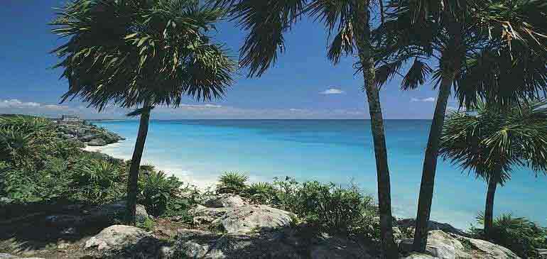 Mexique assurance PVT Working Holiday Visa AVI 