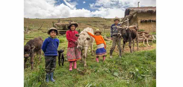 Valorisation de fromage au perou pour la bourse avi du voyage solidaire 2015