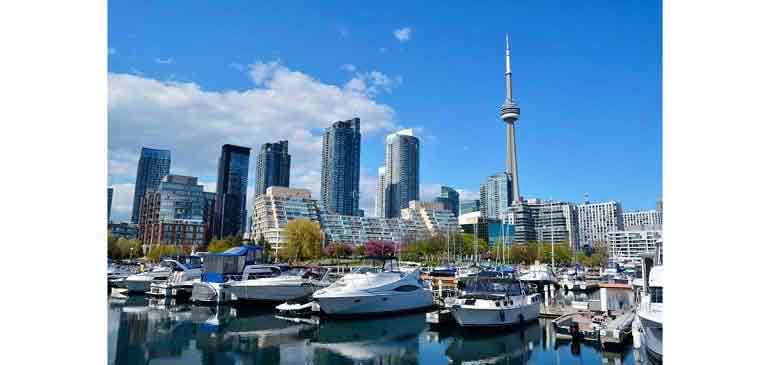 internship travel insurance by AVI International