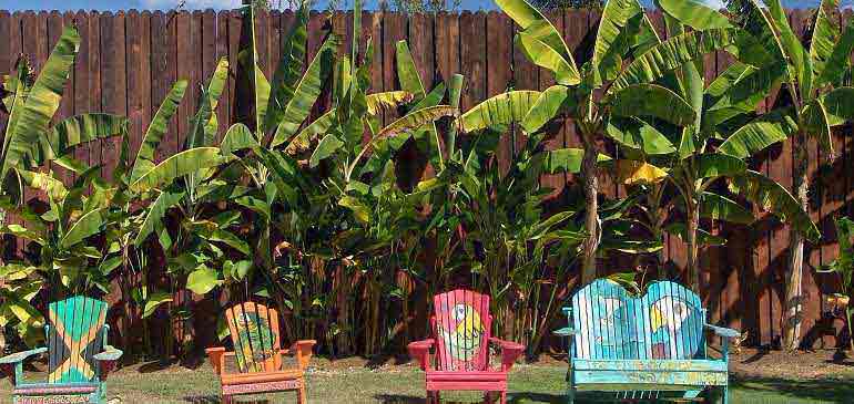 Viaja a Jamaica seguro de viaje trotamundos