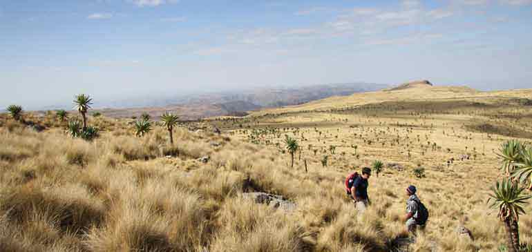 Éthiopie assurance voyage AVI International 