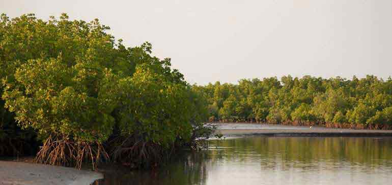 La boucle voyageuse, blog voyage de Julie