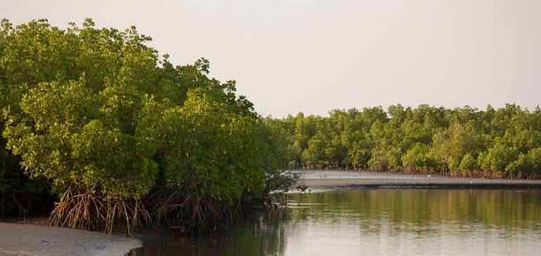 vaccins conseillés voyage AVI assurance tour du monde