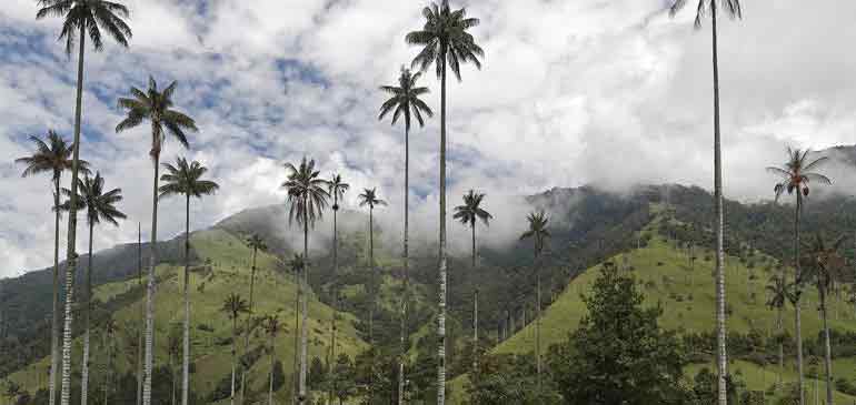 Viajar de manera diferente en Colombia