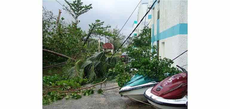 consejos viaje por avi seguros