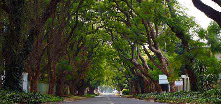 Johannesburg AVI assurance voyage