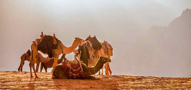 Jordania seguro vuelta al mundo AVI