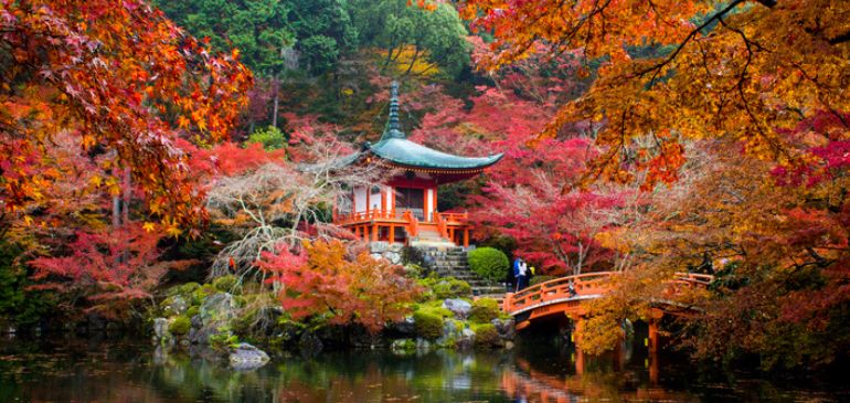 Japon  Kyoto Asie