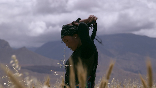 Bourse AVI Film Mustang