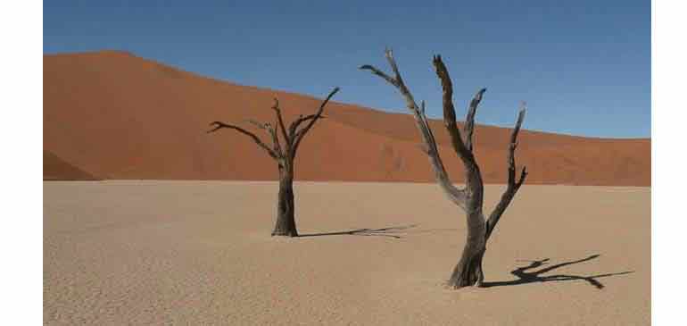 cycling_through_the_karoo teresie