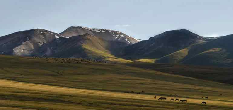 Viajar de forma sostenible AVI seguros de viaje