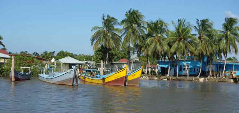 Surinam globetrotter Philippe Melul AVI assurance tour du monde