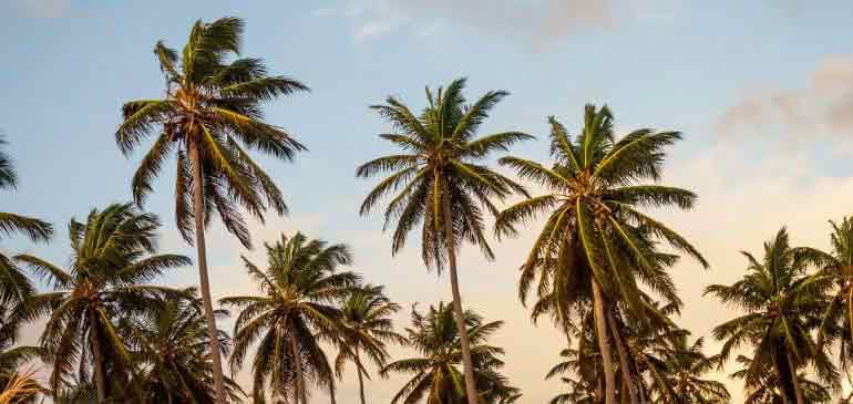 visa turquía para españoles