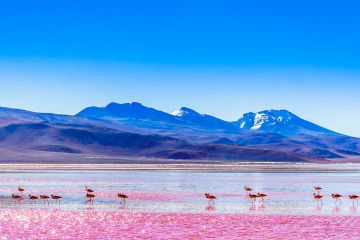 bolivie amérique latine voyage